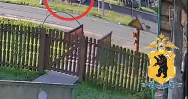 Разбитая остановка общественного транспорта с выбитыми стеклами