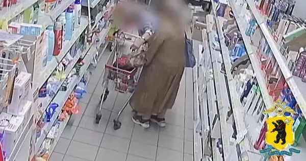 52-летняя жительница района обворовывала пенсионеров в магазинах Ярославля